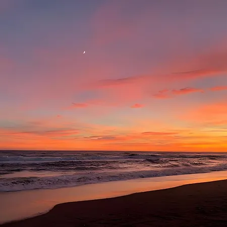 La Sonrisa By Ist * Málaga